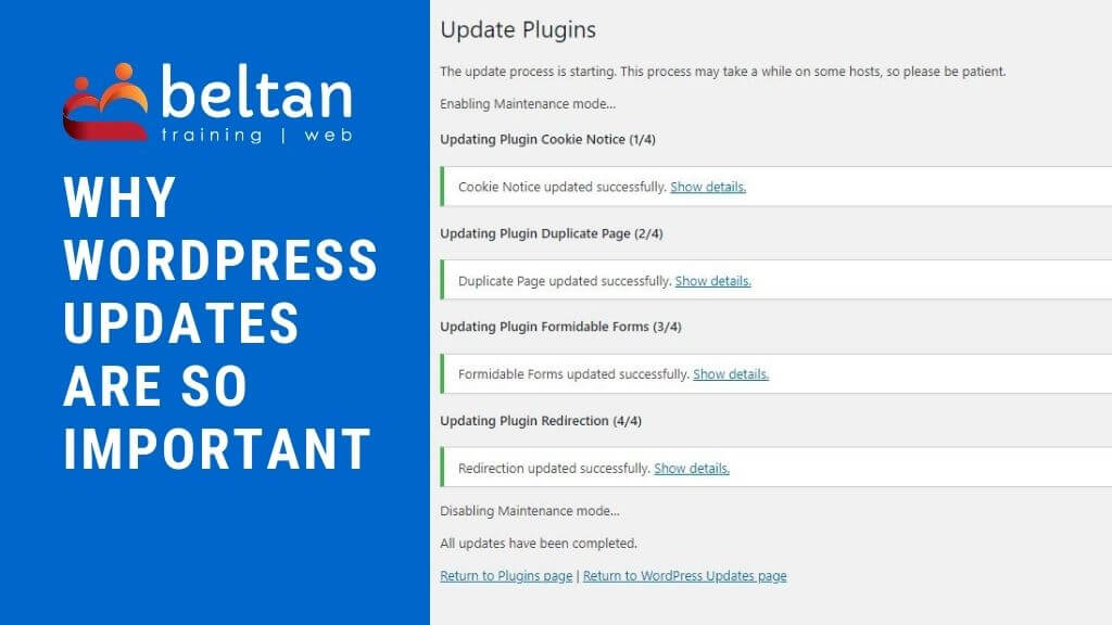 Why WordPress updates are so important