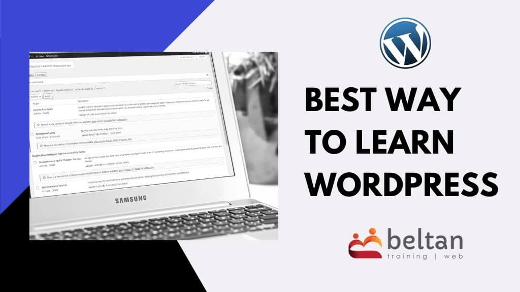 Best way to learn WordPress